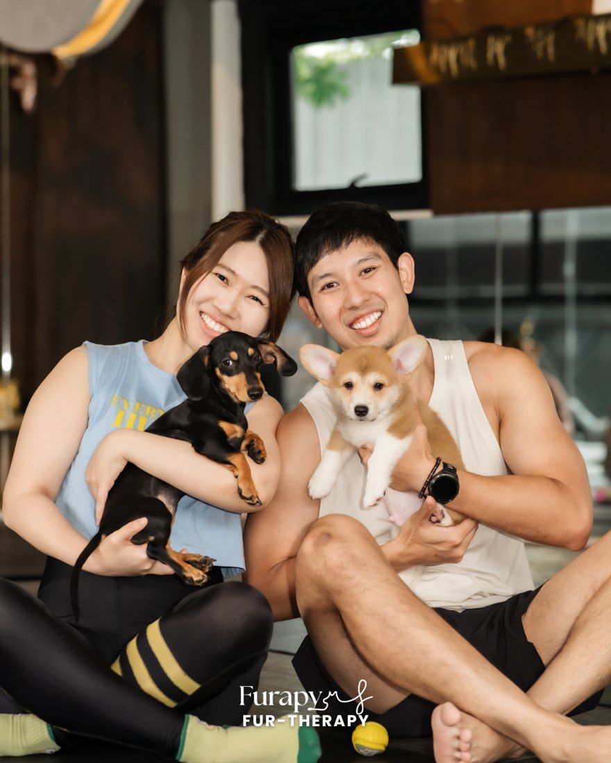 Couple holding dachshund and corgi puppies