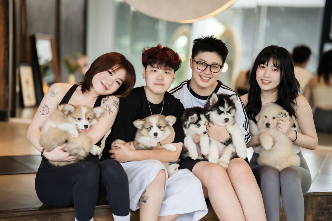 Four friends holding puppies