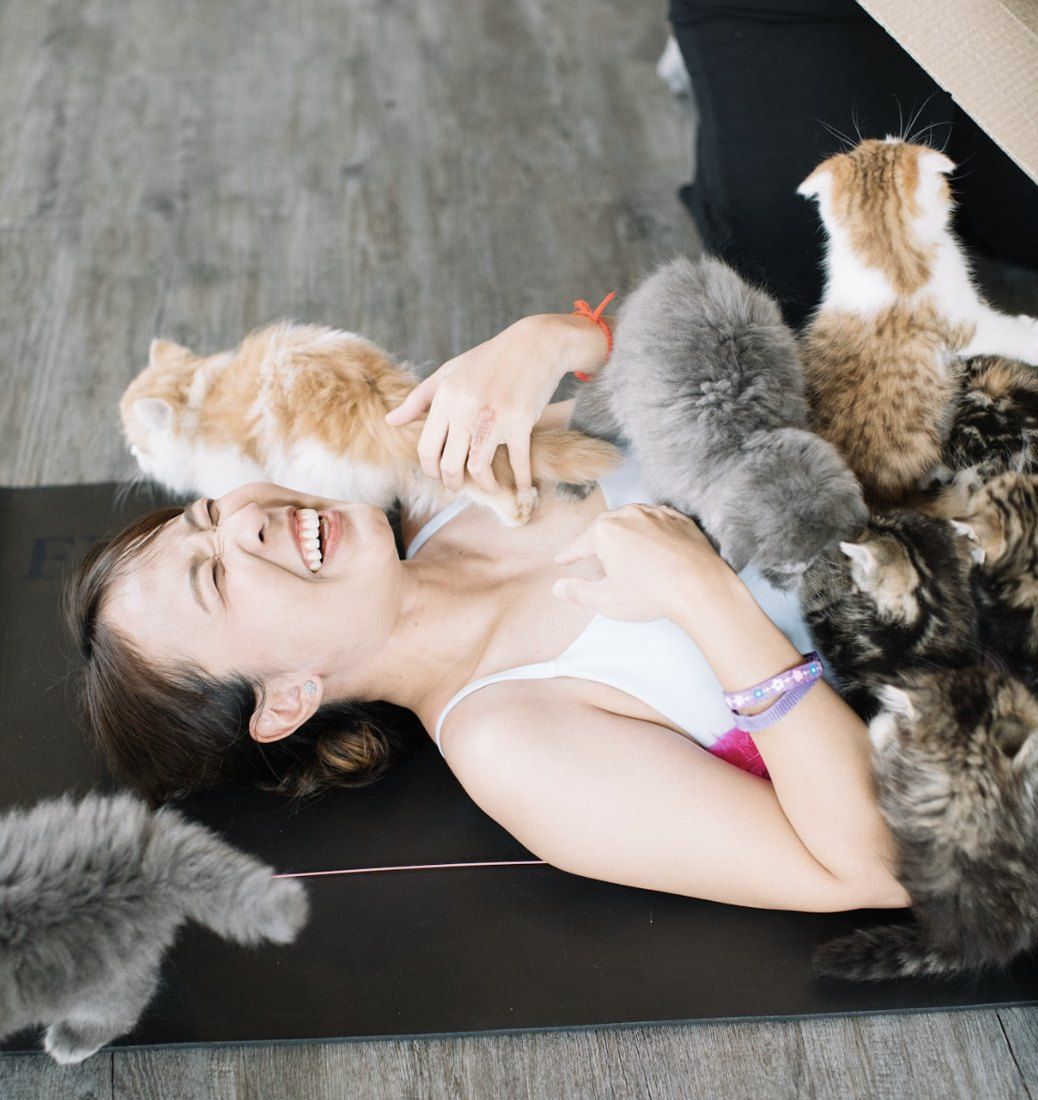 Guest giggling under a pile of kittens