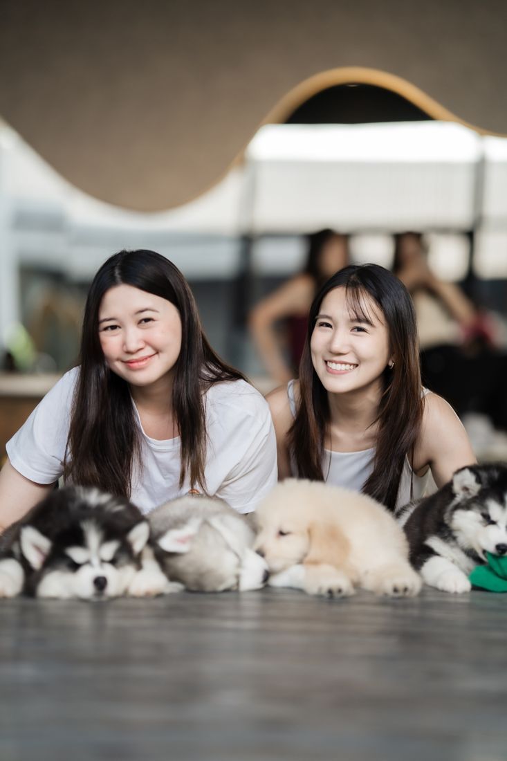 Two guests with a row of sleeping puppies