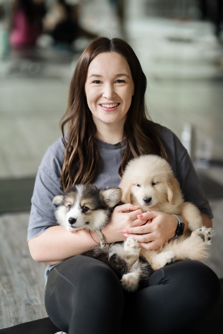 Guest with corgi and golden puppies