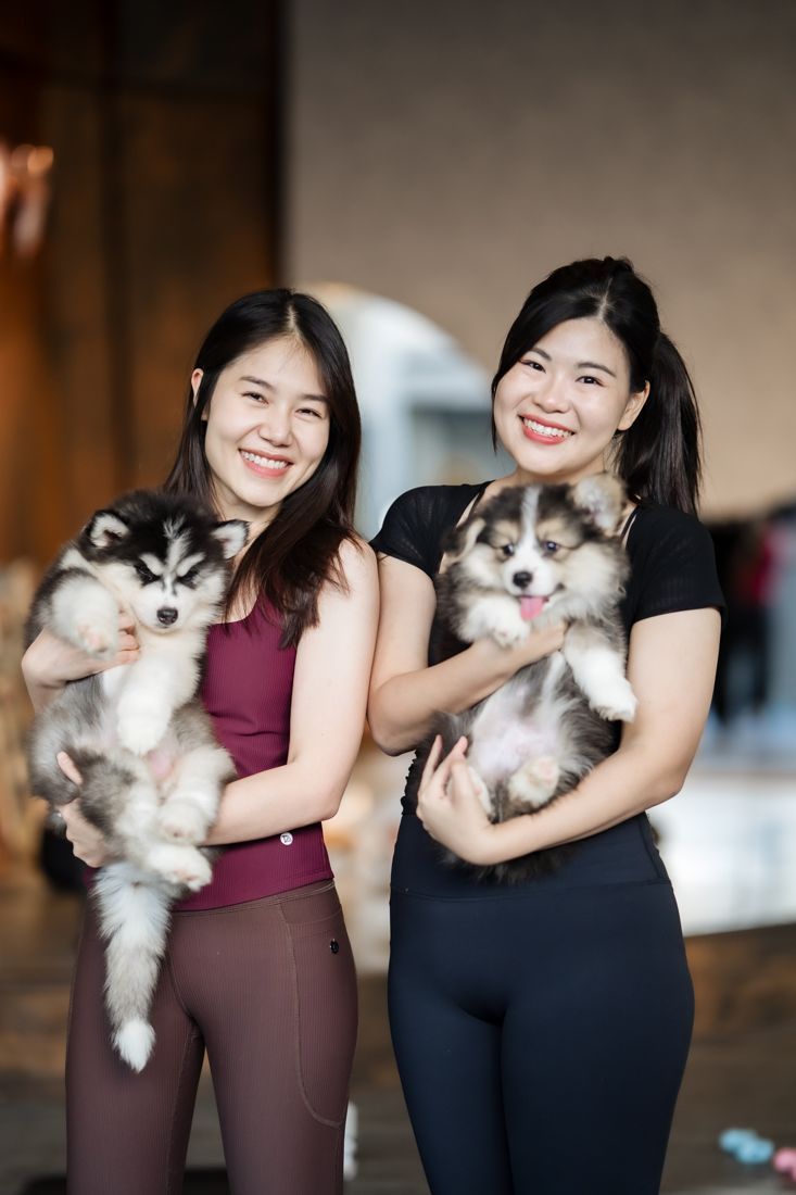 Two guests holding husky and corgi puppies