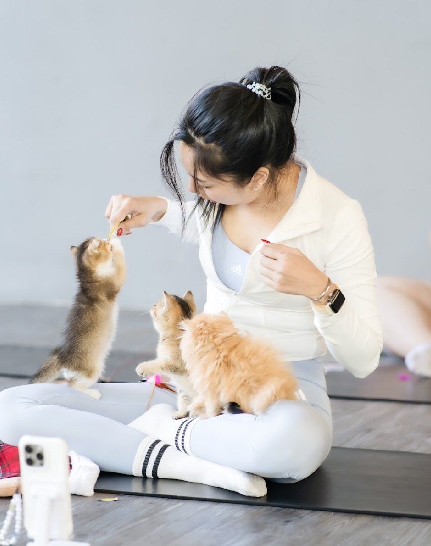 Guest playing with kittens on her lap