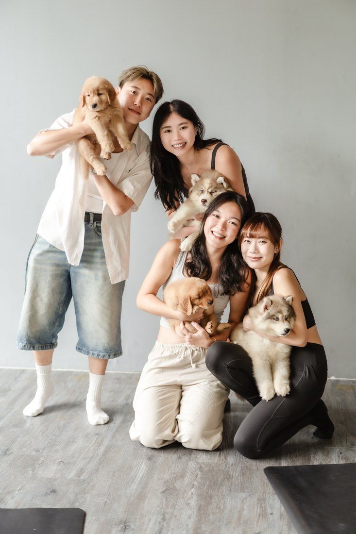 Friends holding golden and husky puppies