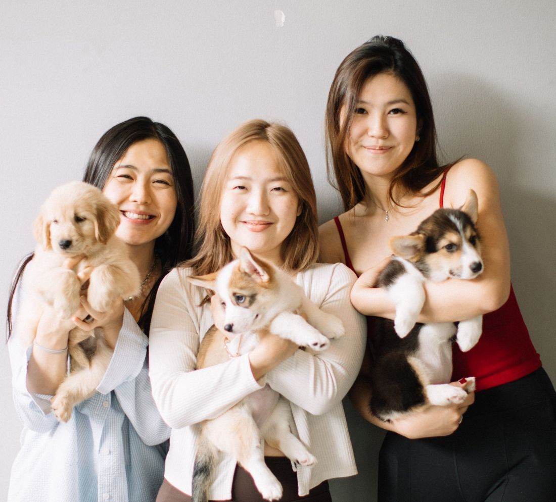 Three friends holding golden and corgi puppies