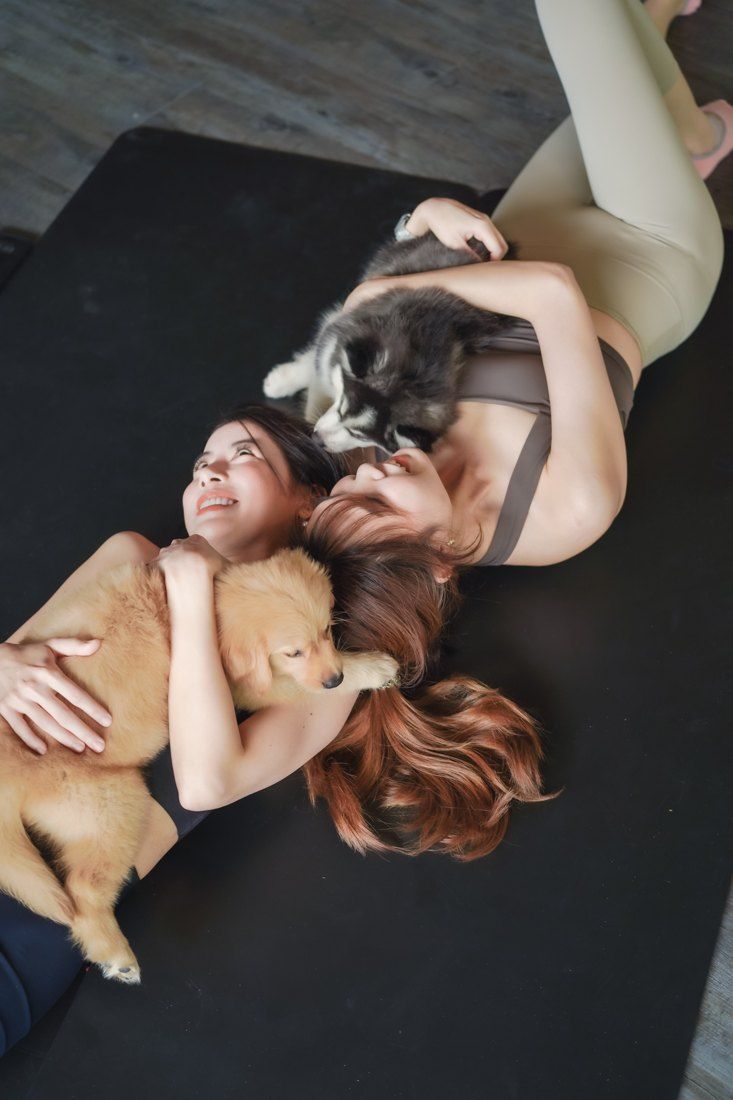 Two friends lying with golden and husky puppies