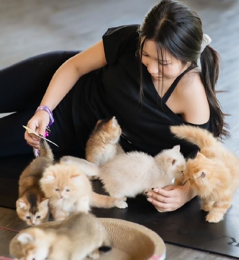 Guest playing with a group of kittens on a yoga mat