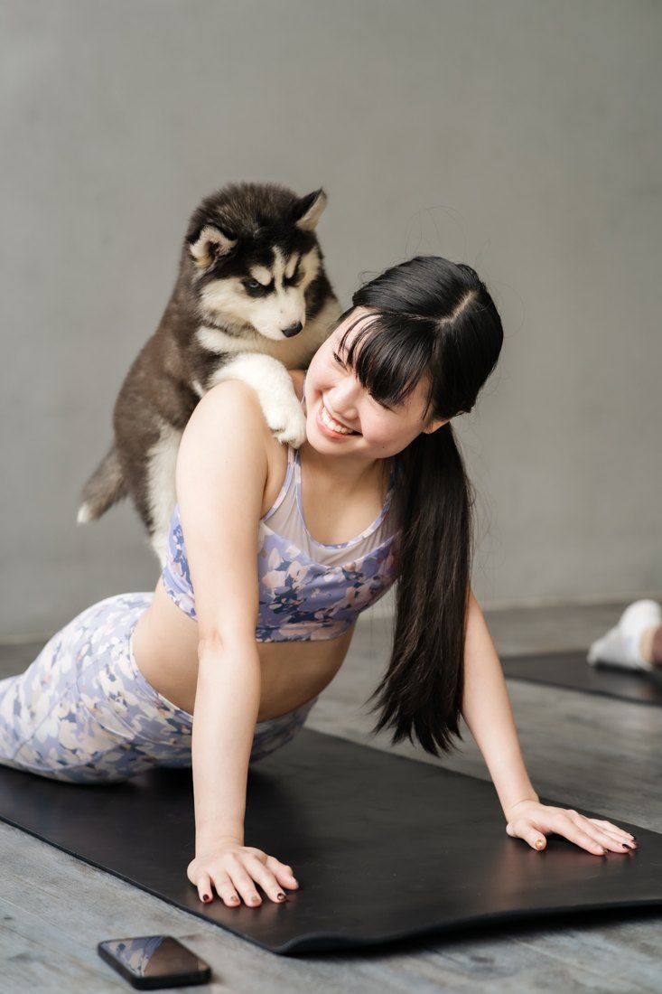Husky puppy on a guest during yoga