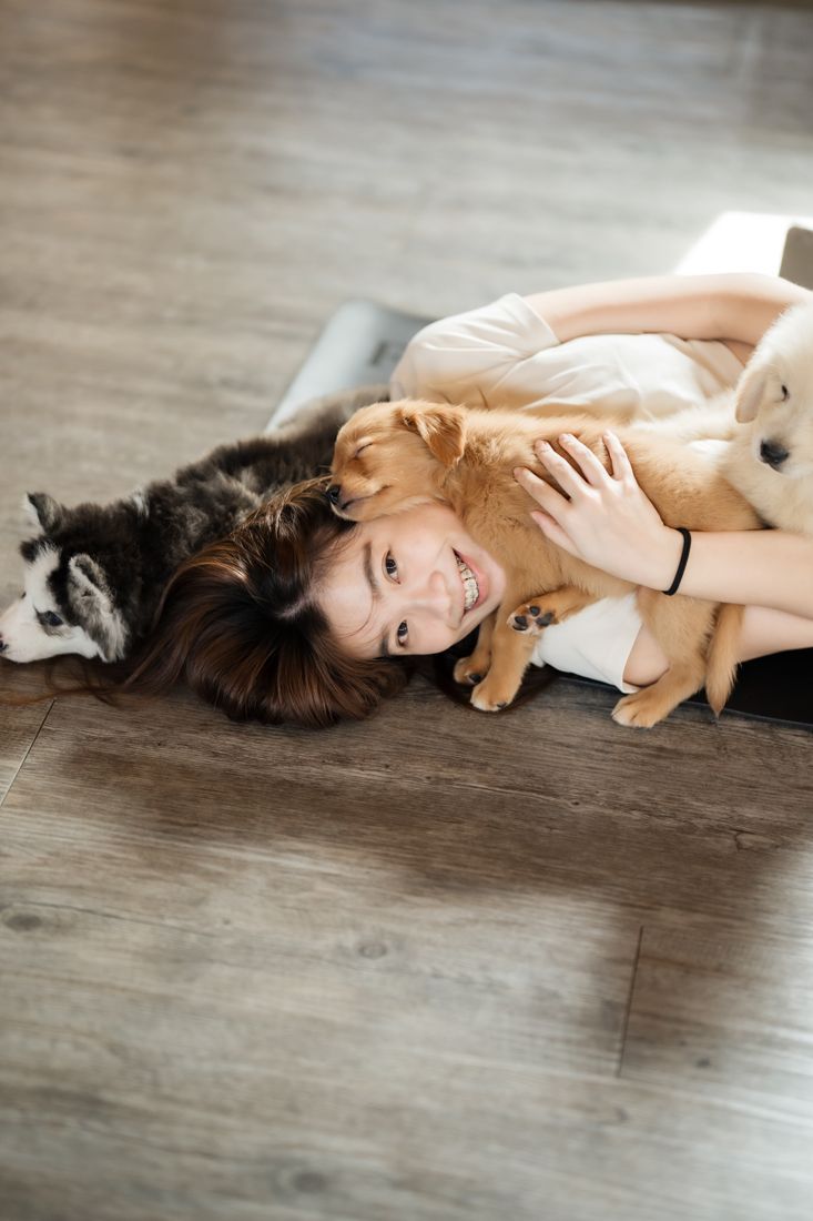 Girl lying with golden and husky puppies