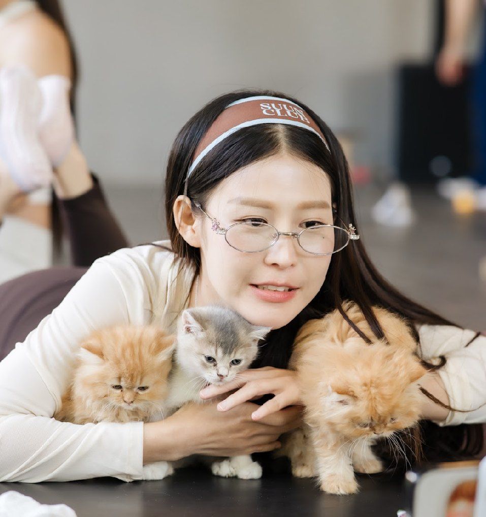 Guest cuddling three fluffy kittens