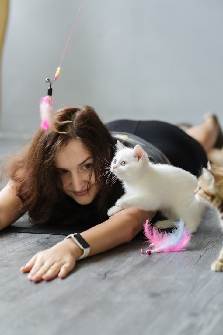 Guest and a white kitten face to face on the mat