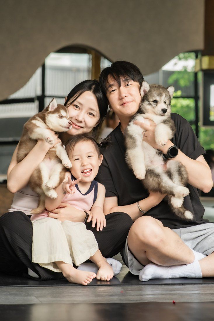 Family with two husky puppies