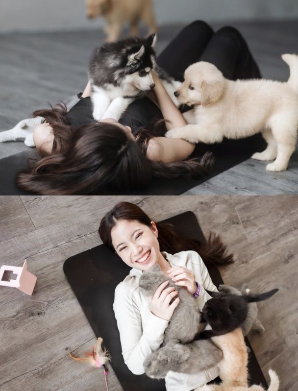 Guests with husky, golden puppies and kittens on yoga mats