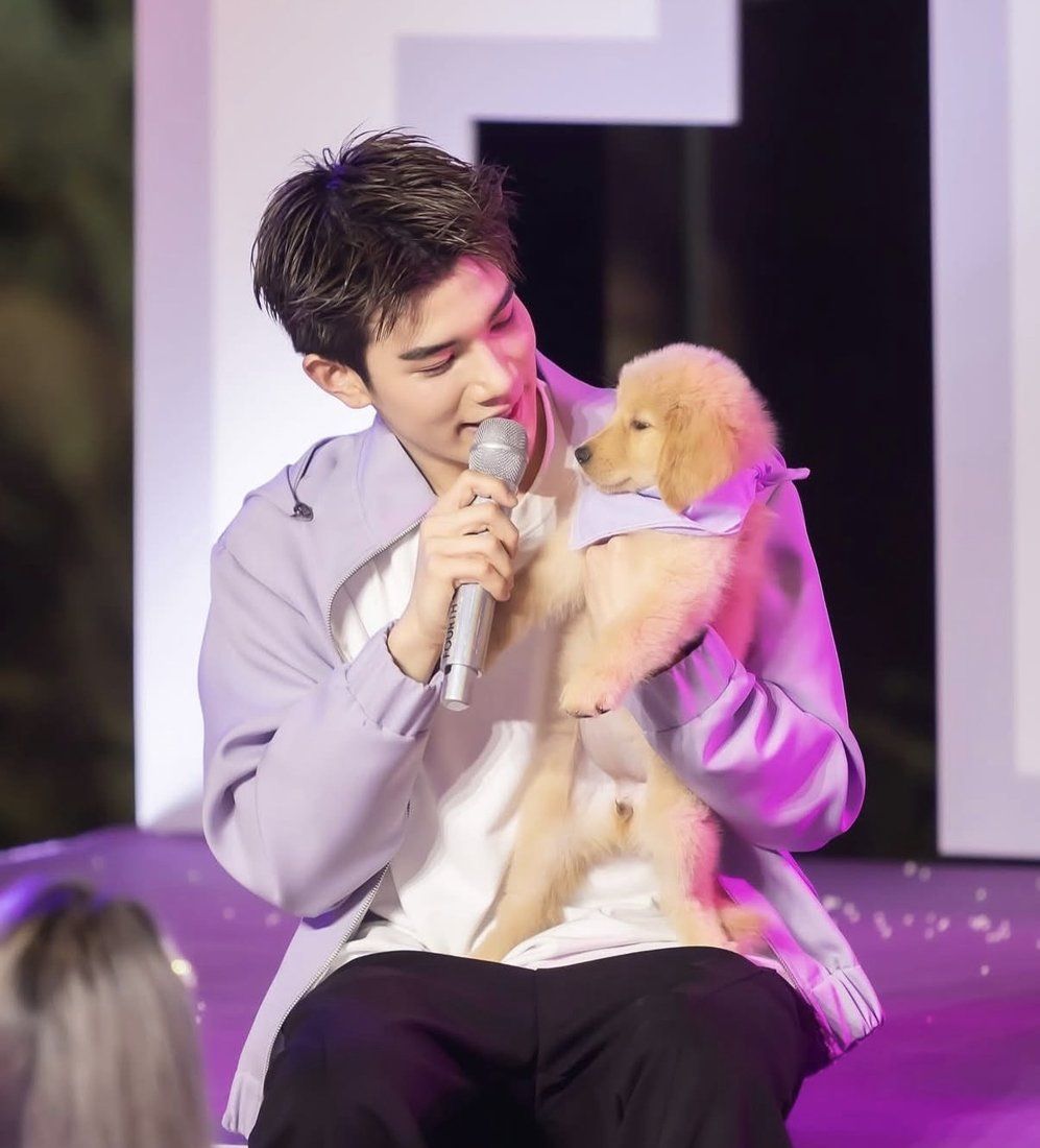 Guest on stage holding a golden retriever puppy