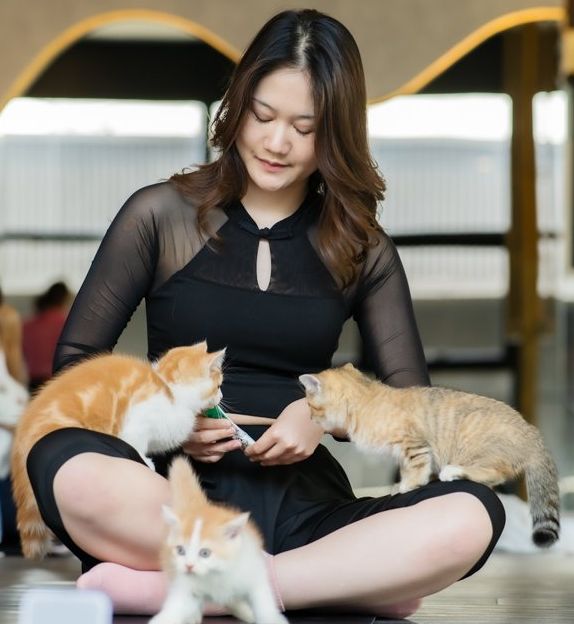 Guest feeding kittens a treat