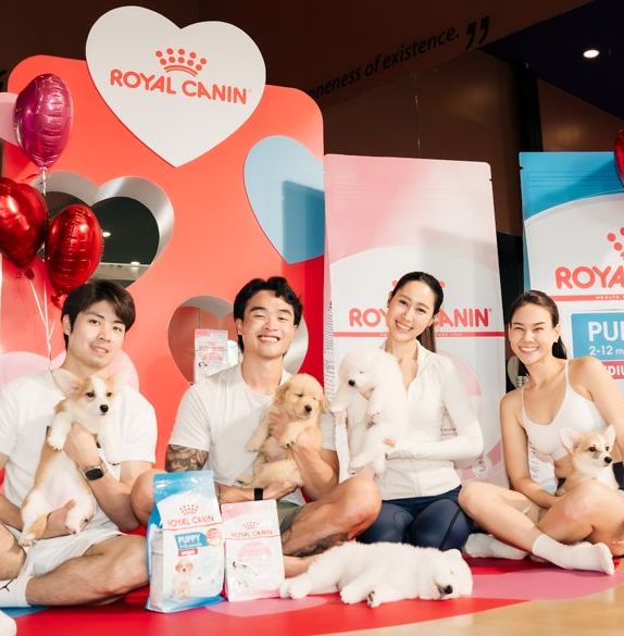 Royal Canin brand event with puppies