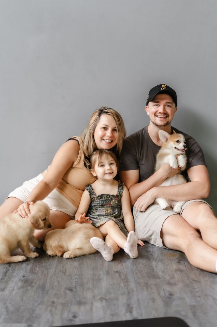 Family with corgi and golden retriever puppies