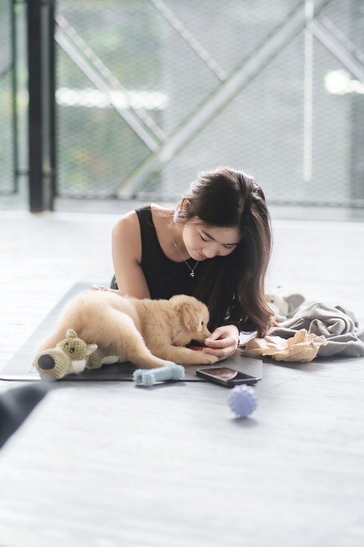 Guest playing with a golden puppy on a yoga mat
