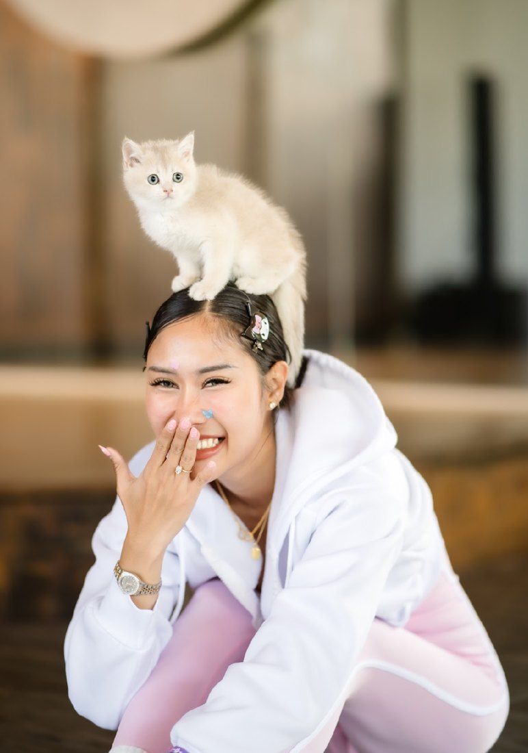 Kitten sitting on a laughing guest head