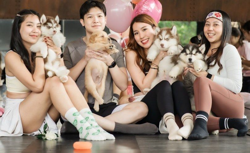 Friends with husky and golden puppies under pink balloons