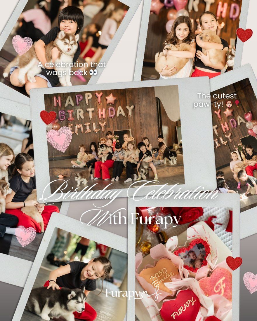 Birthday celebration with Furapy collage