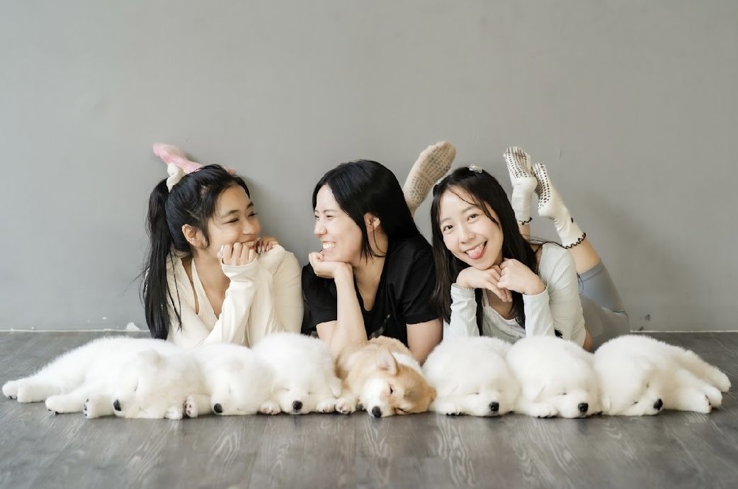 Three guests lying beside a row of sleeping puppies