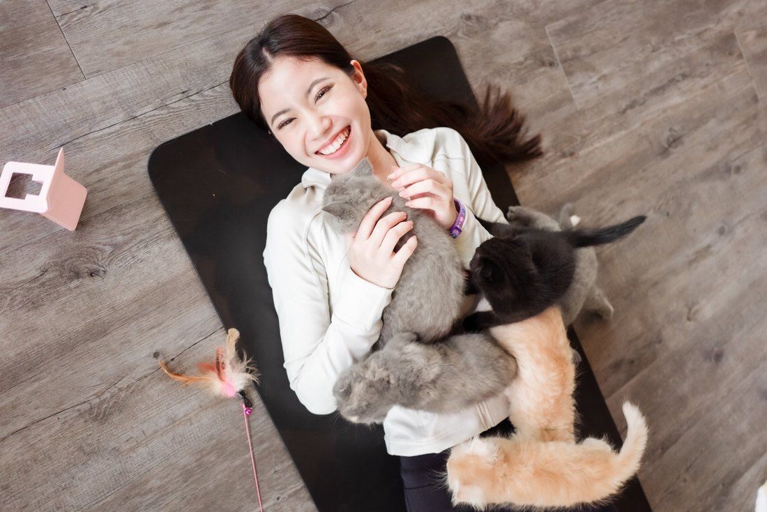 Guest laughing on a mat covered in kittens