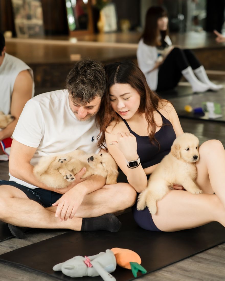 Couple cuddling golden retriever puppies