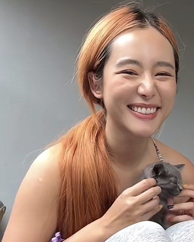 Bifern of BIVOYAGE with a grey kitten at Furapy