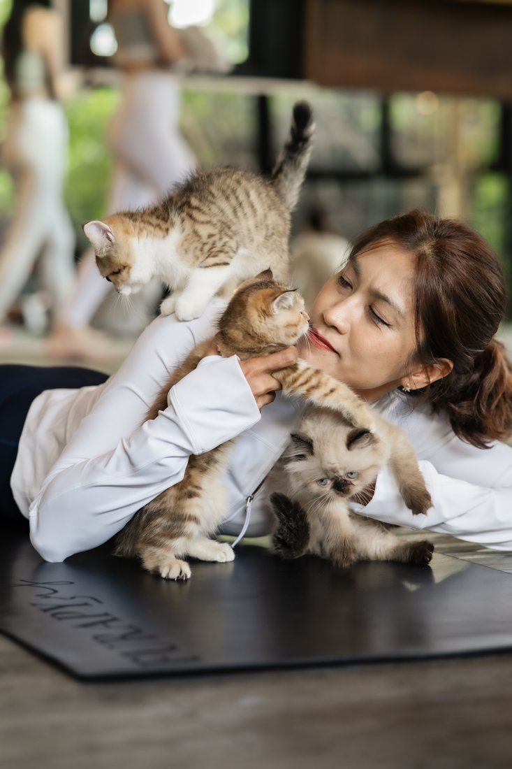 Guest cuddling three kittens on the mat