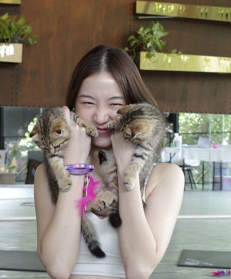 Thanaerng holding two tabby kittens at Furapy