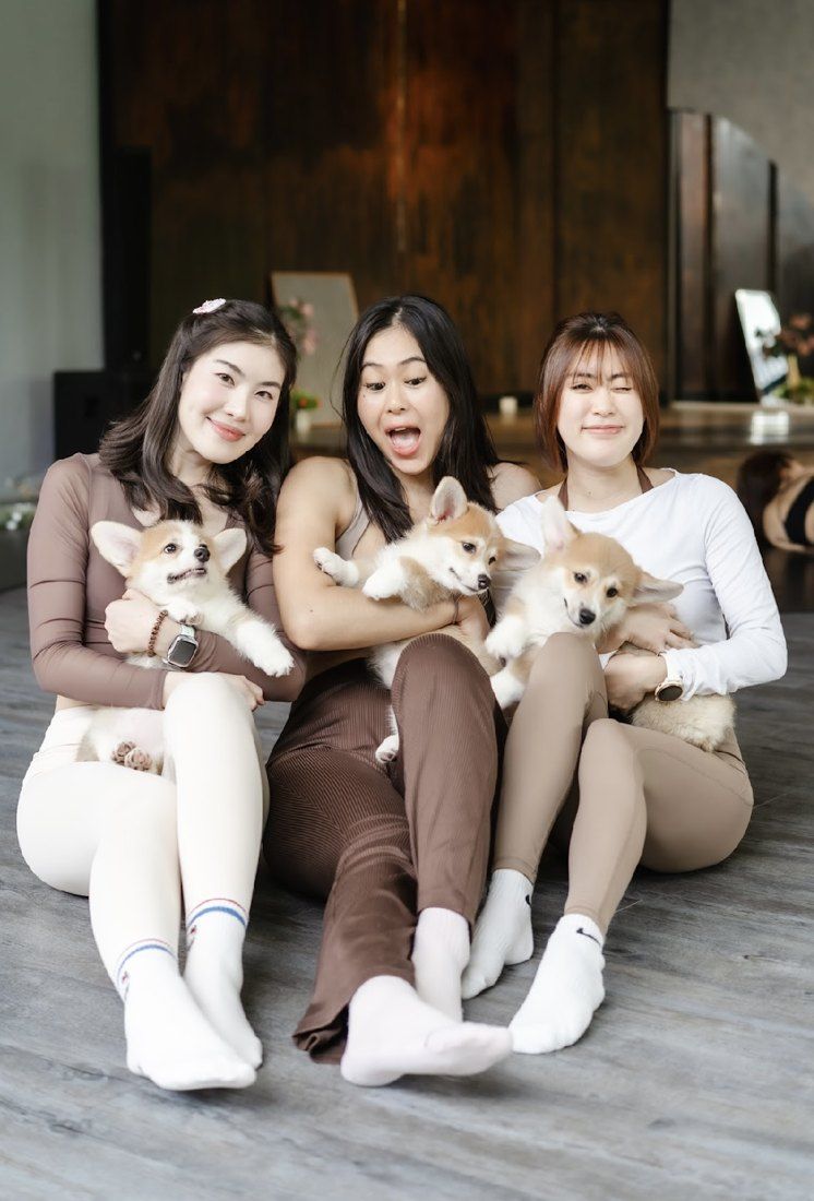 Three friends holding corgi puppies