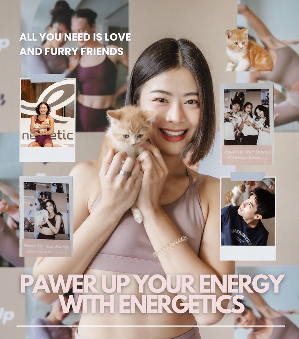 Pawer Up Your Energy, an Energetics x Furapy kitten event